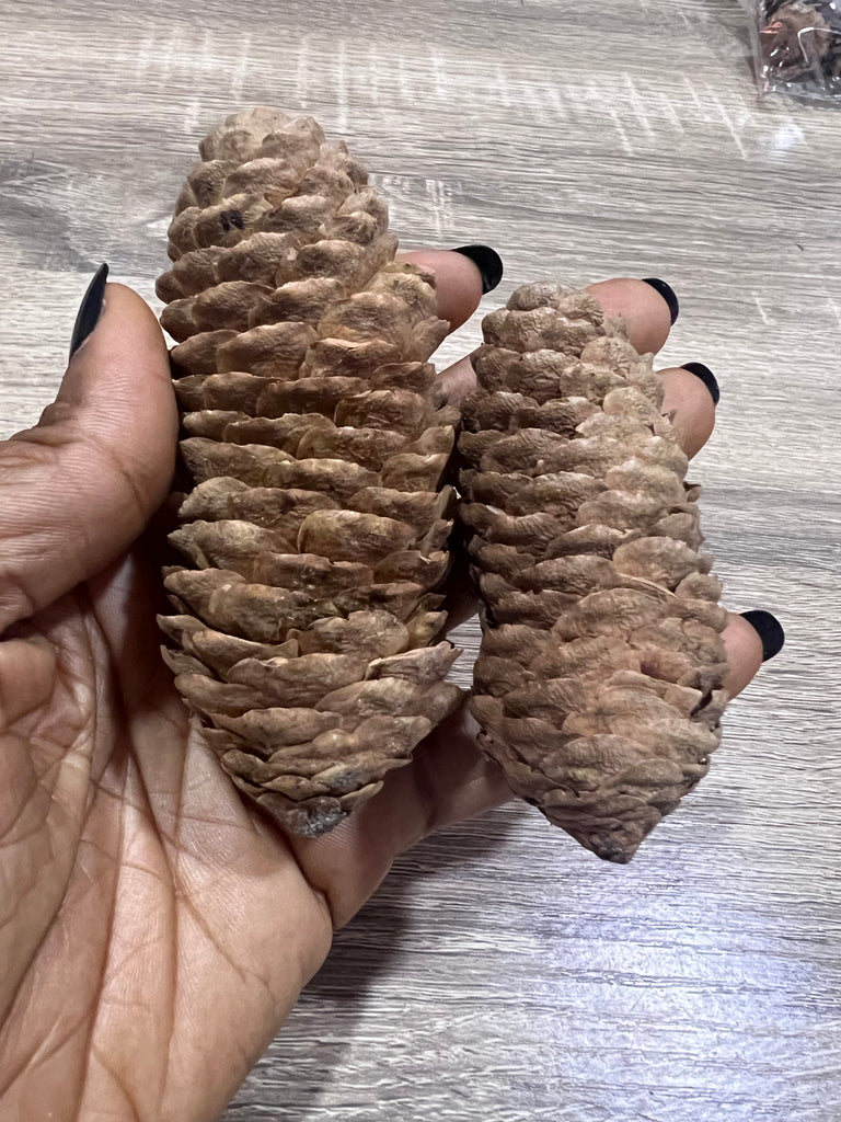 Set of 2 Natural pine cones