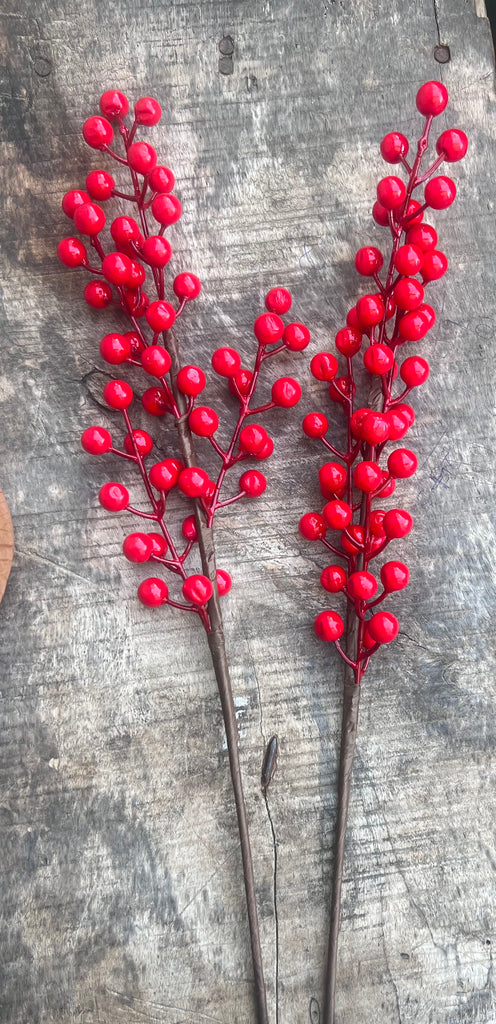 Christmas Berries-Stem