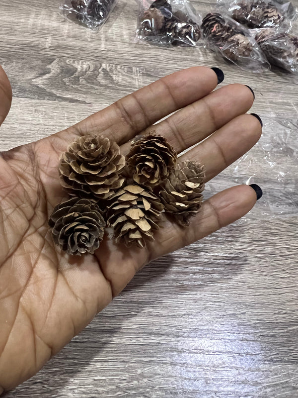 Medium pinecones