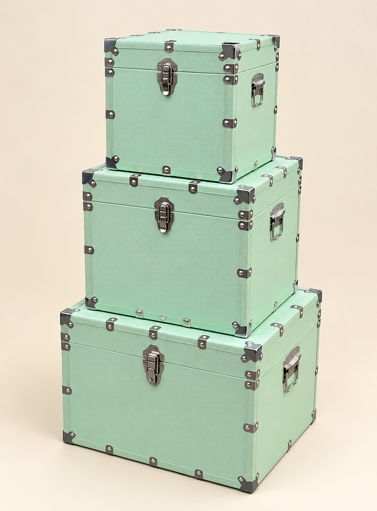 Storage Trunk set