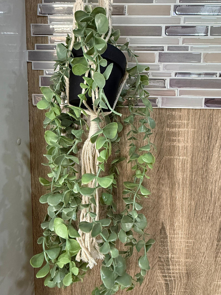 Hanging plant