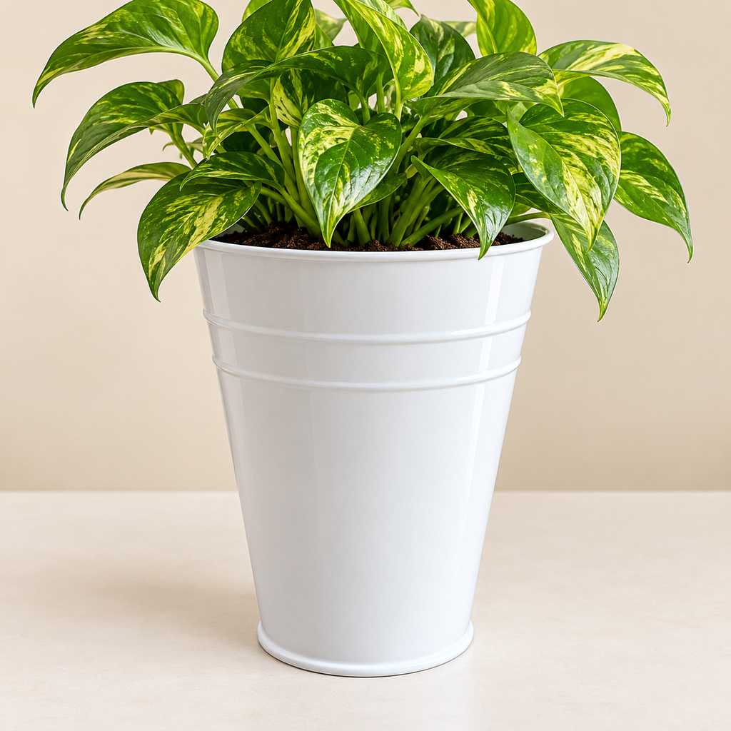 Metal pail planter