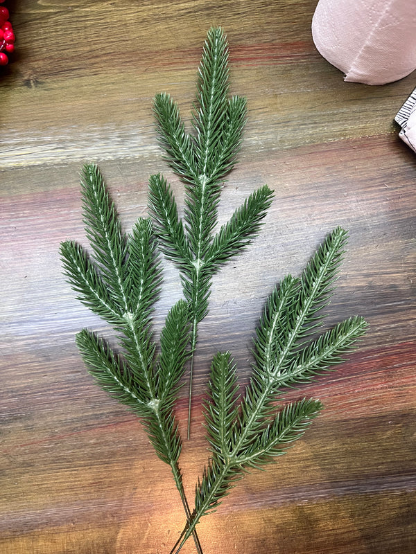 Pine Needle leaves