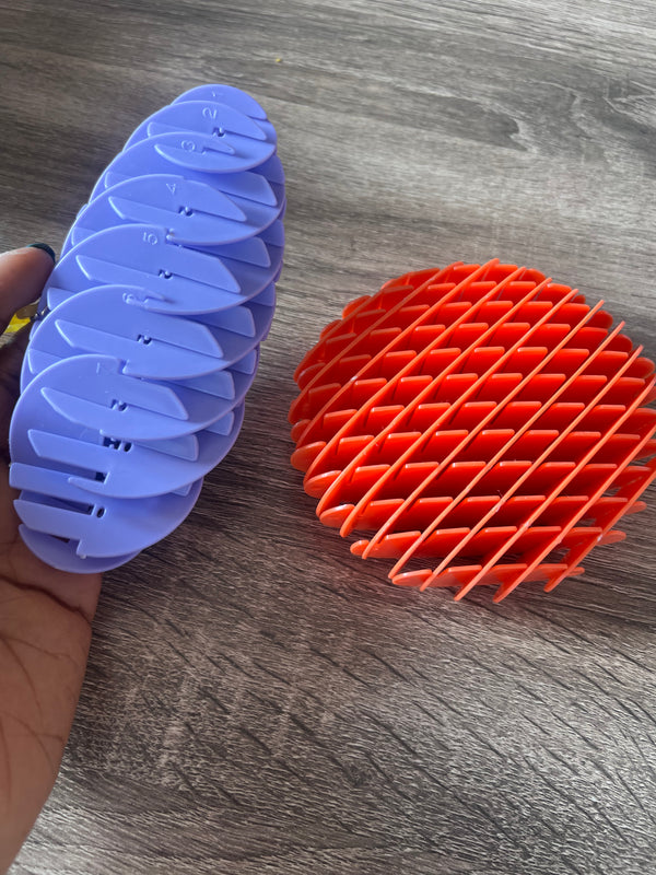 Fidget Worm Toys