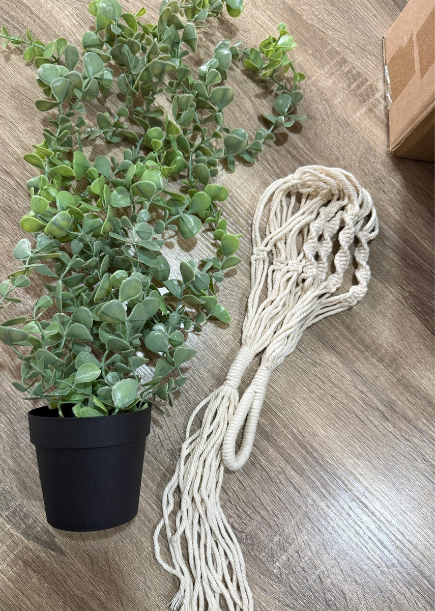 Planting Lock Hanging plant – Partylocks