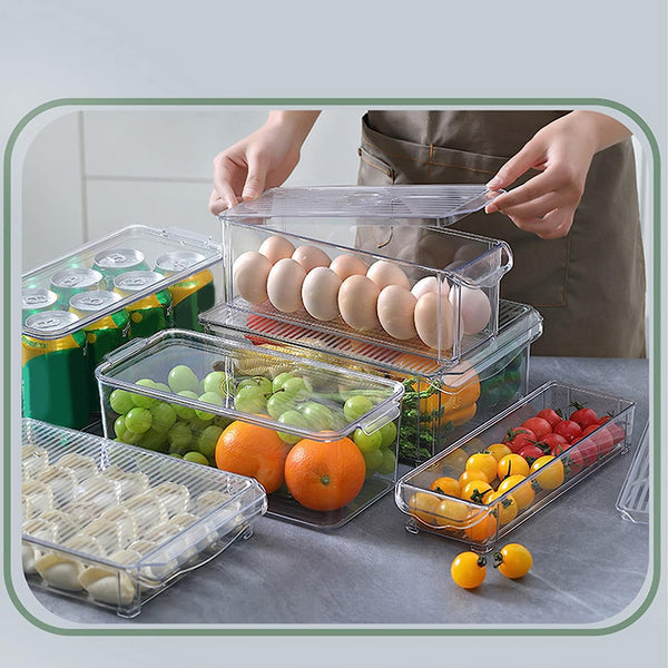 Storage Bin with Lid