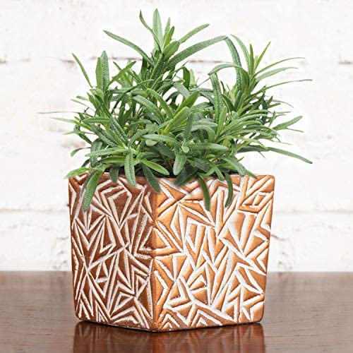 Ceramic Planter
