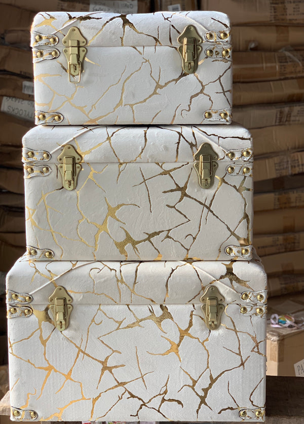 Marble velvety Trunks